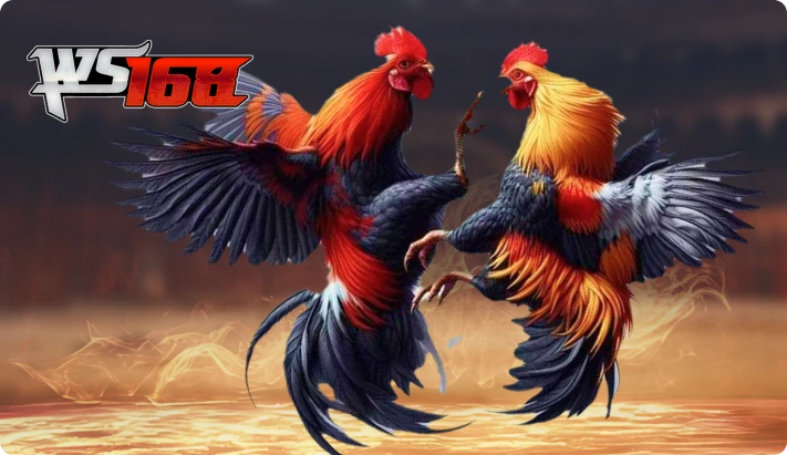 ga88 đá gà 168