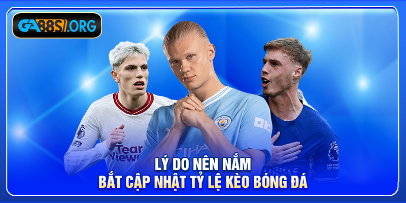 Lý do nên nắm bắt cập nhật tỷ lệ kèo bóng đá
