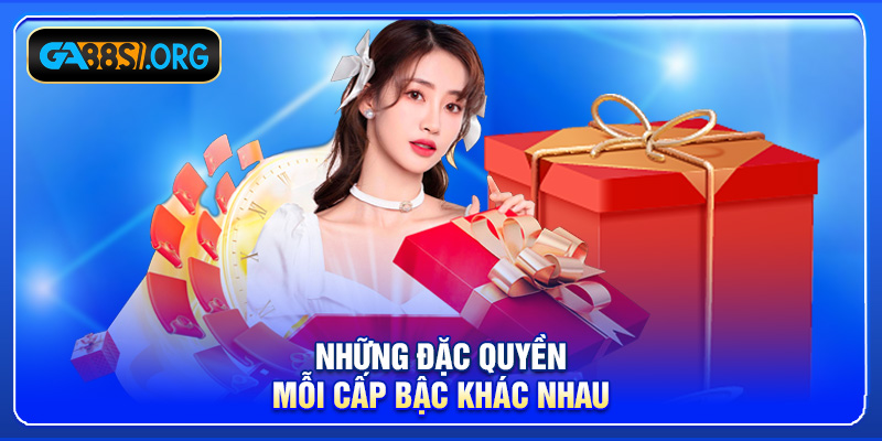 Những đặc quyền mỗi cấp bậc khác nhau