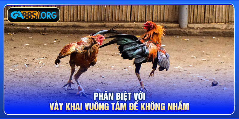 Phân biệt với vảy khai vuông tám để không nhầm