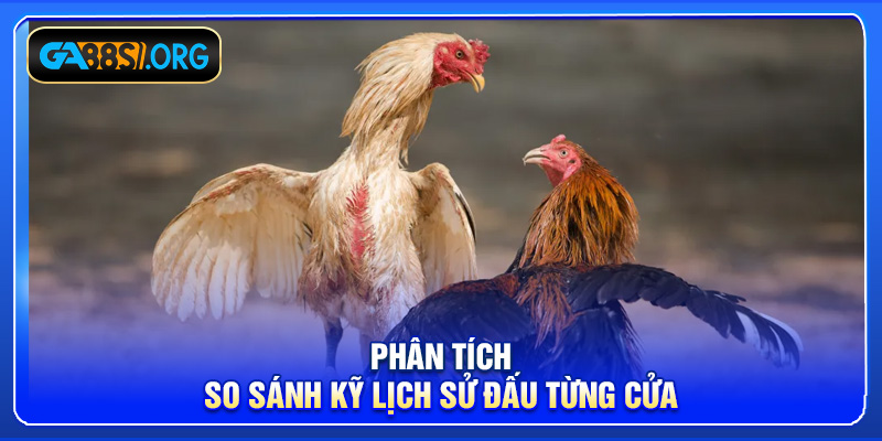 Phân tích, so sánh kỹ lịch sử đấu từng cửa
