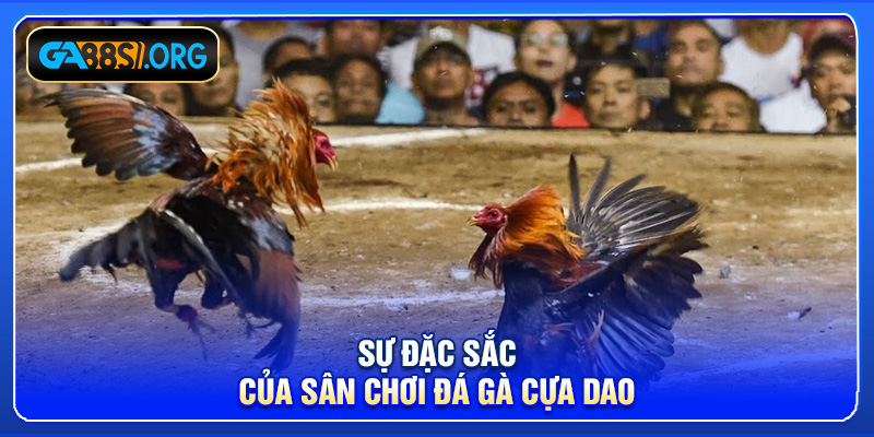 Sự đặc sắc của sân chơi đá gà cựa dao