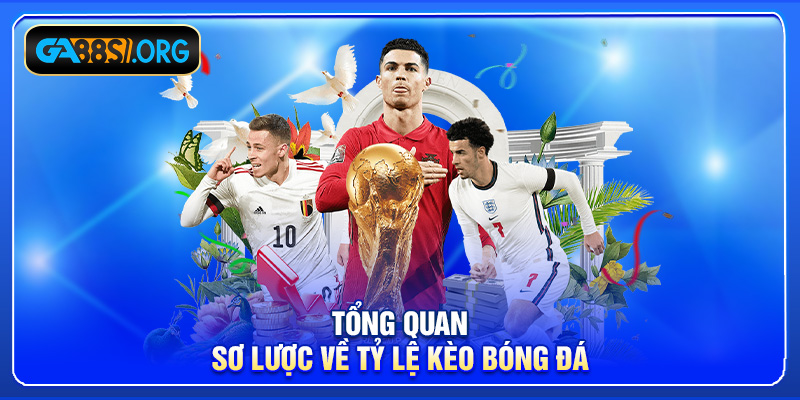Tổng quan sơ lược về tỷ lệ kèo bóng đá