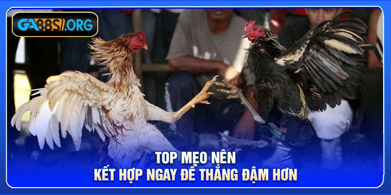 Top mẹo nên kết hợp ngay để thắng đậm hơn