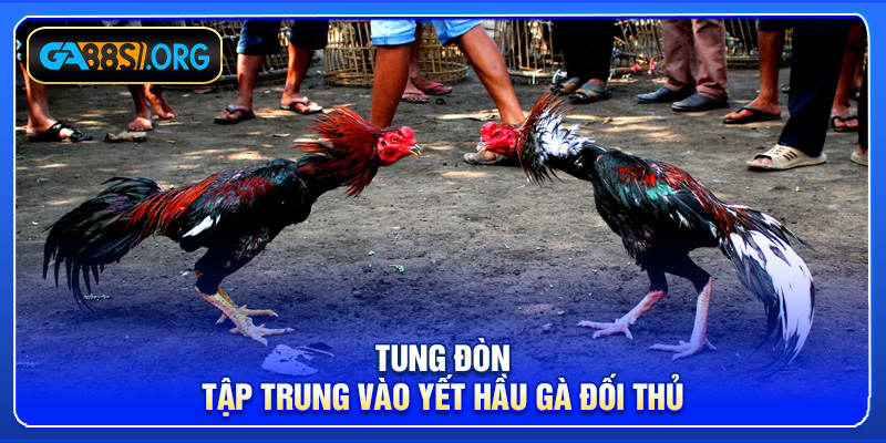 Tung đòn tập trung vào yết hầu gà đối thủ